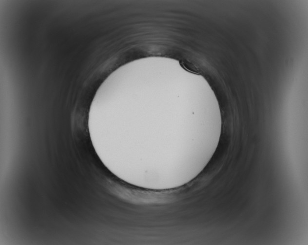 X0000086000044200704131815