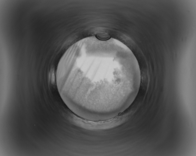 X0000086000046200704131815