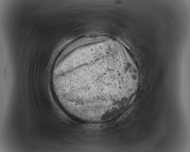 X0000086000049200704131814