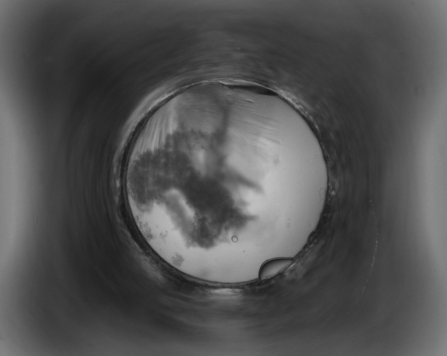 X0000086000053200704131814