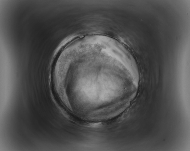 X0000086000054200704131814