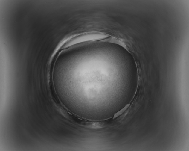 X0000086000056200704131814