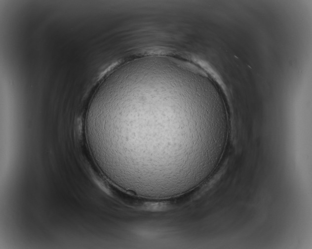 X0000086000057200704131814