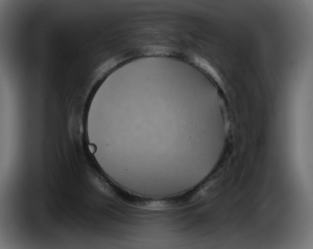 X0000086000059200704131814