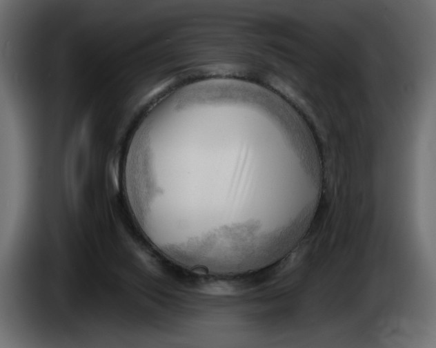 X0000086000062200704131814