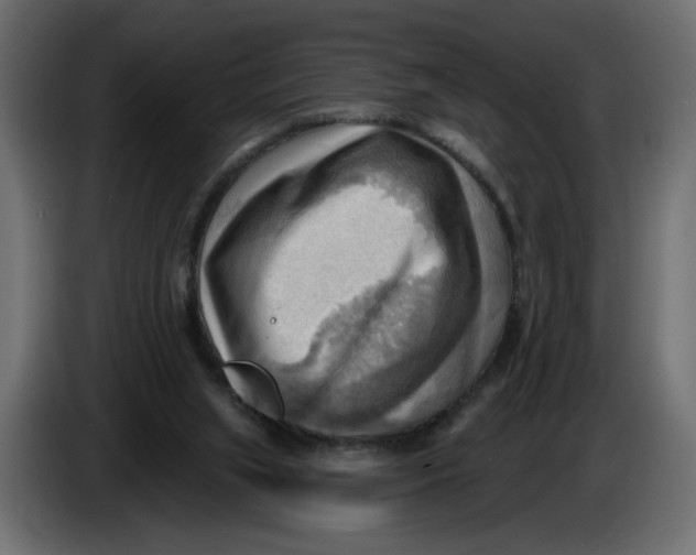 X0000086000063200704131814