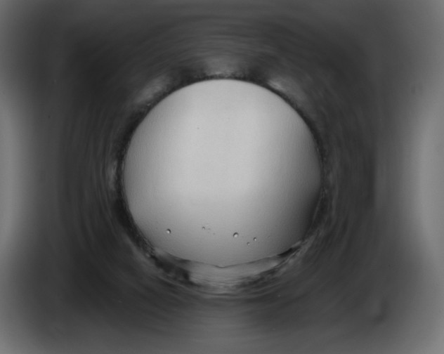 X0000086000066200704131814