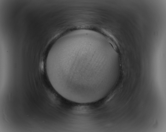 X0000086000067200704131814