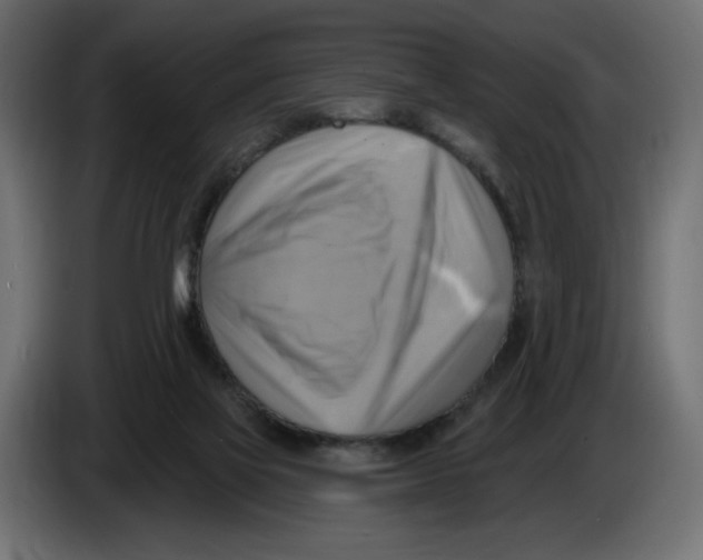 X0000086000069200704131814