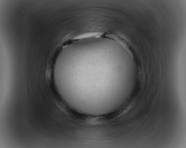 X0000086000072200704131814