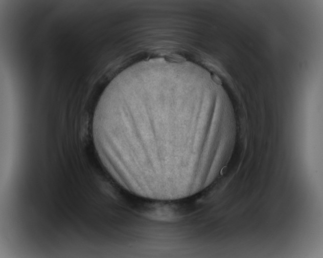 X0000086000073200704131814