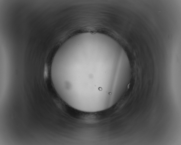 X0000086000075200704131814