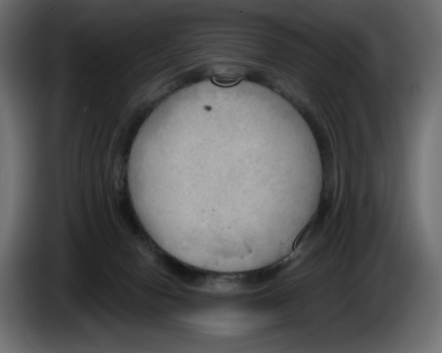 X0000086000078200704131814