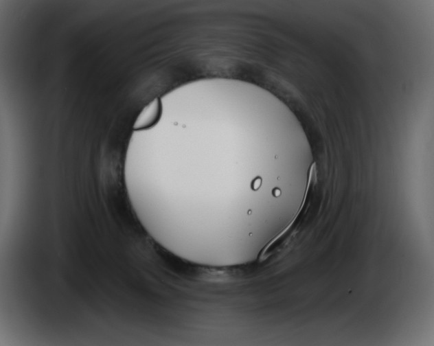 X0000086000083200704131814