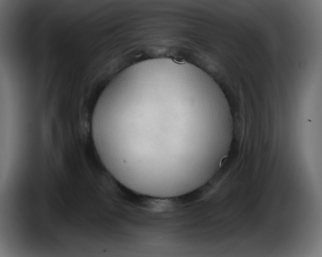 X0000086000085200704131814