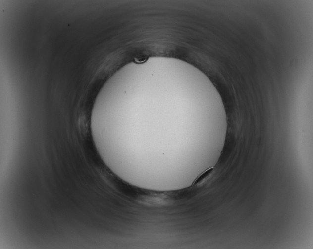 X0000086000086200704131814