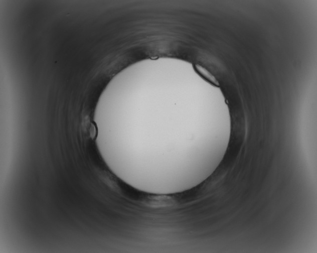 X0000086000087200704131814