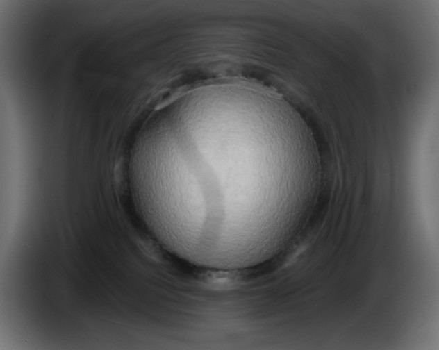 X0000086000088200704131814