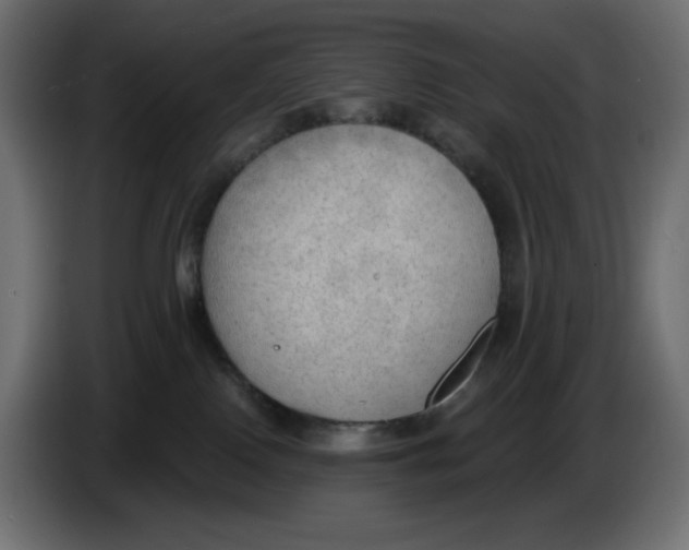 X0000086000090200704131814