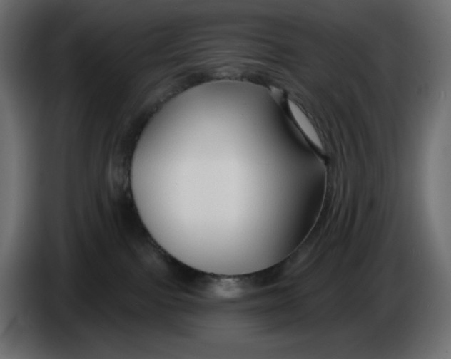 X0000086000091200704131814