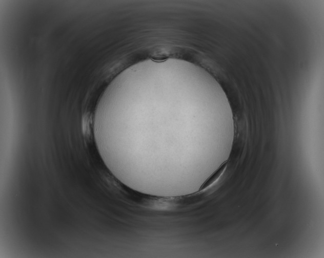 X0000086000094200704131815