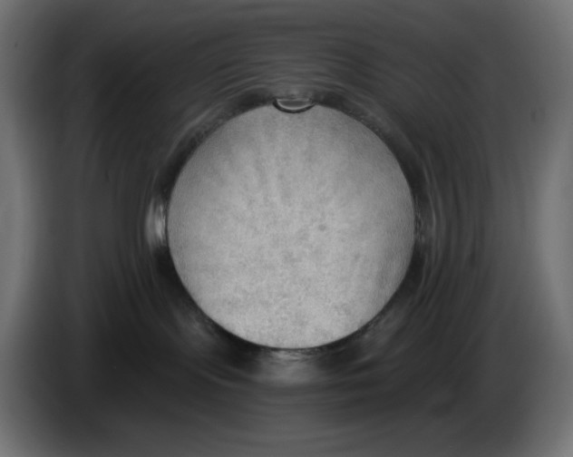 X0000086000095200704131815