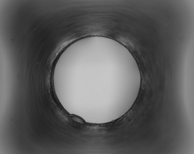 X0000086000098200704131814