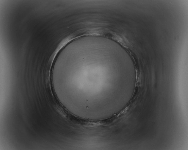 X0000086000099200704131814