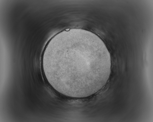 X0000086000100200704131814