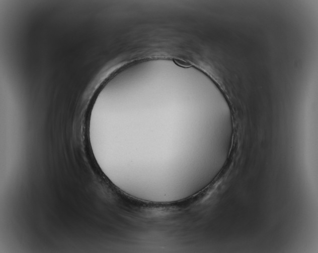 X0000086000103200704131814