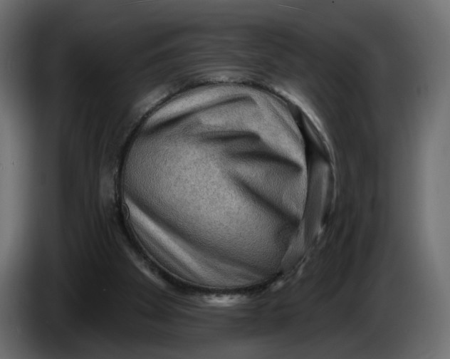 X0000086000105200704131814