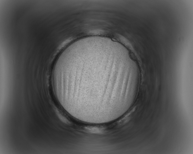 X0000086000106200704131814