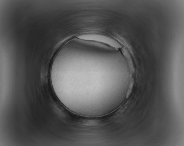 X0000086000107200704131814