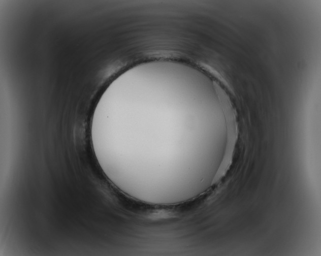 X0000086000111200704131814