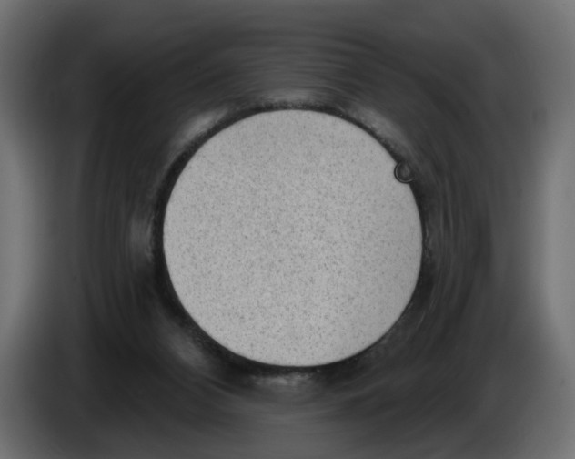 X0000086000112200704131814