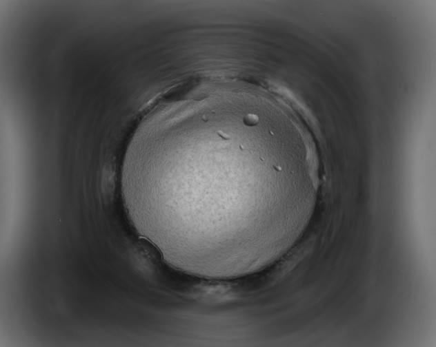 X0000086000113200704131814