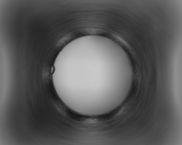 X0000086000119200704131814