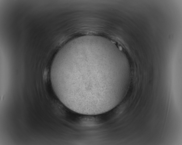 X0000086000123200704131814