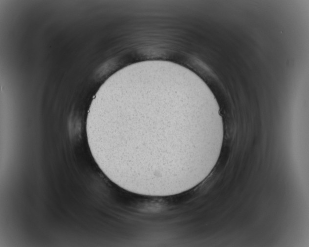 X0000086000124200704131813