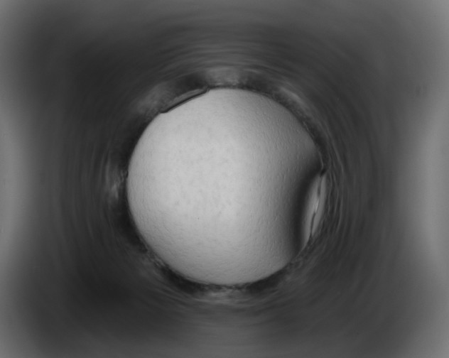 X0000086000125200704131813