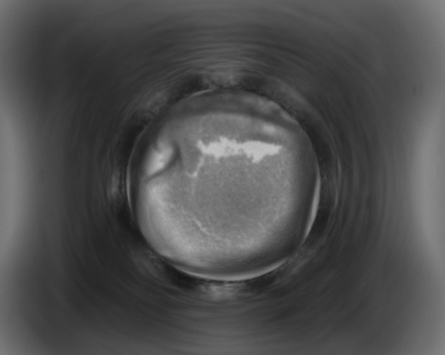 X0000086000134200704131813