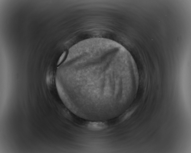 X0000086000137200704131813