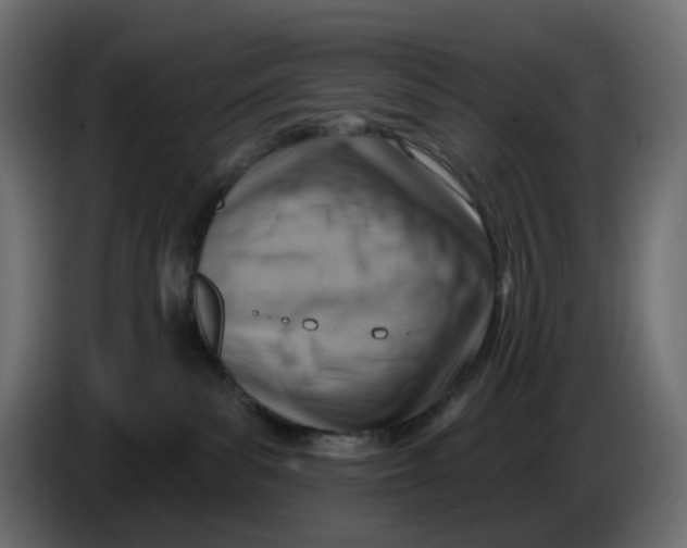 X0000086000139200704131813