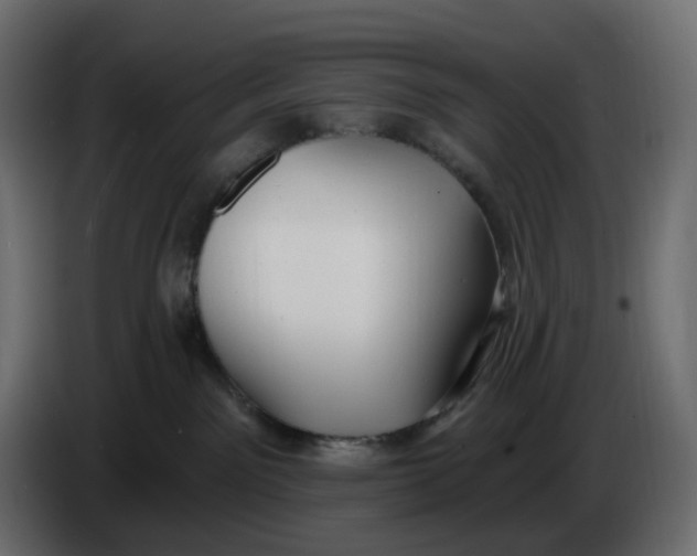 X0000086000141200704131813