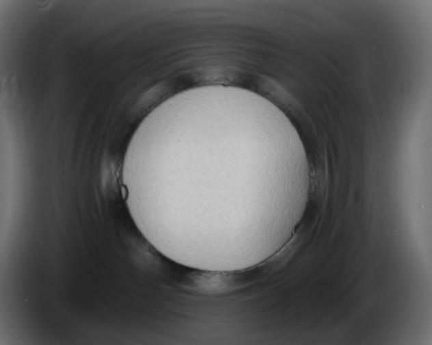 X0000086000142200704131813