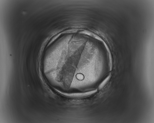 X0000086000145200704131813