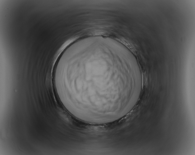 X0000086000147200704131813