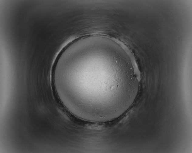 X0000086000148200704131813