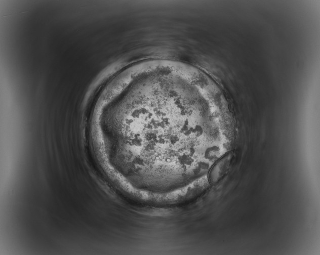 X0000086000149200704131813