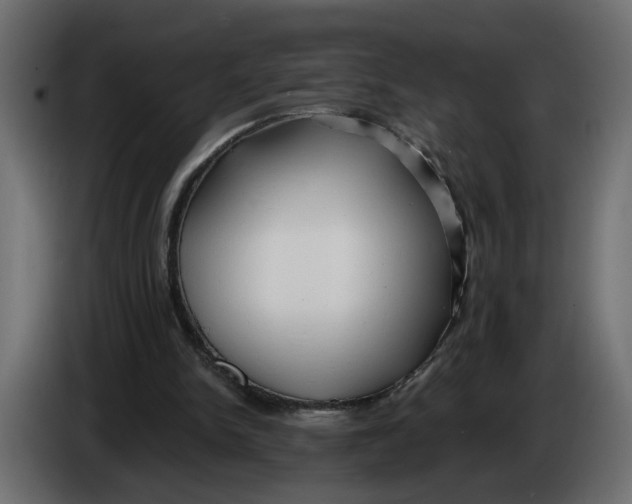 X0000086000150200704131813